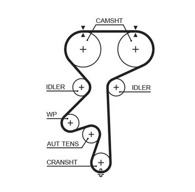 Timing Belt GATES 5542XS