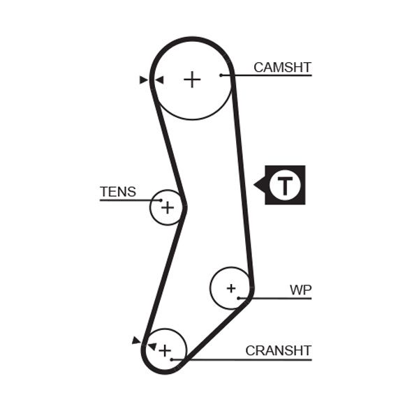 GATES 5544XS Timing Belt