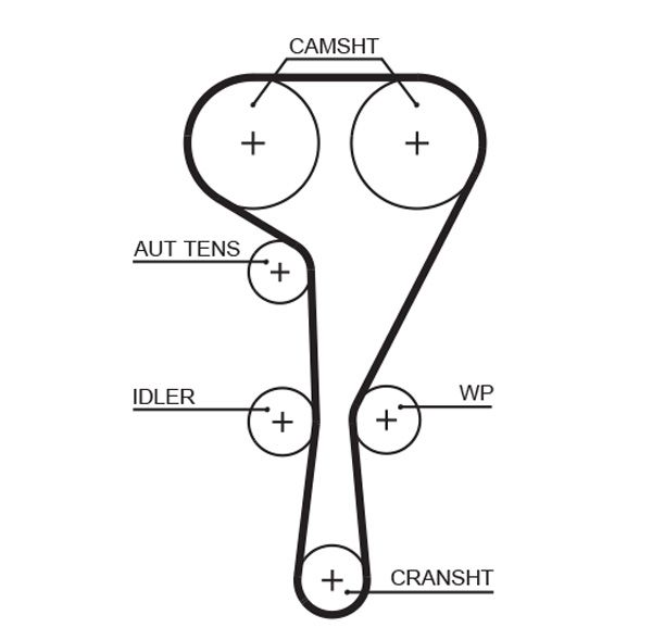 GATES 5550XS Timing Belt