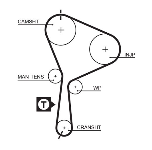 GATES 5552XS Timing Belt