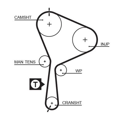 Timing Belt GATES 5552XS