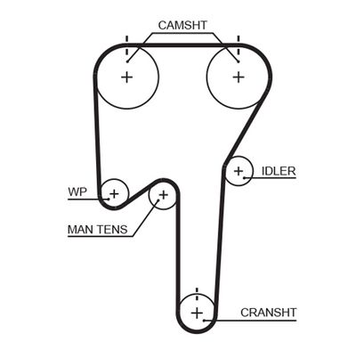 Timing Belt GATES 5553XS