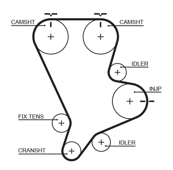 GATES 5554XS Timing Belt