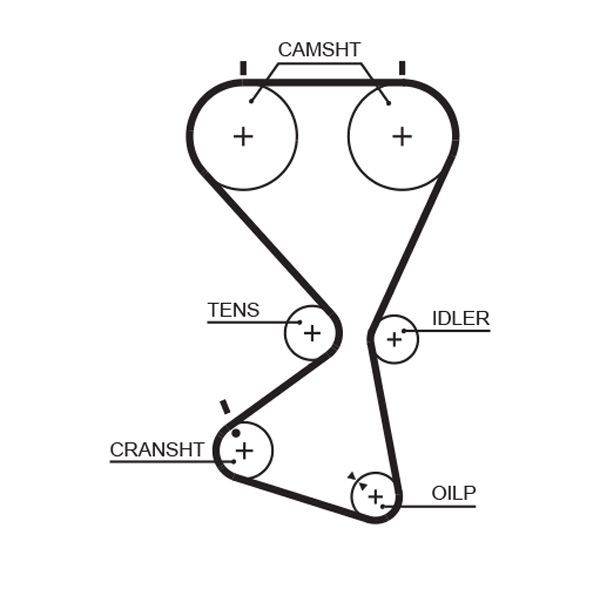 GATES 5556XS Timing Belt