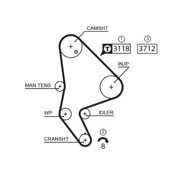 GATES 5558XS Timing Belt