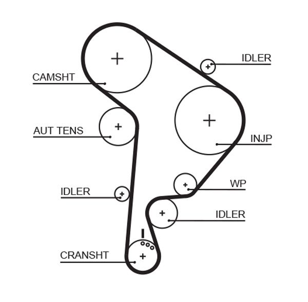 GATES 5559XS Timing Belt