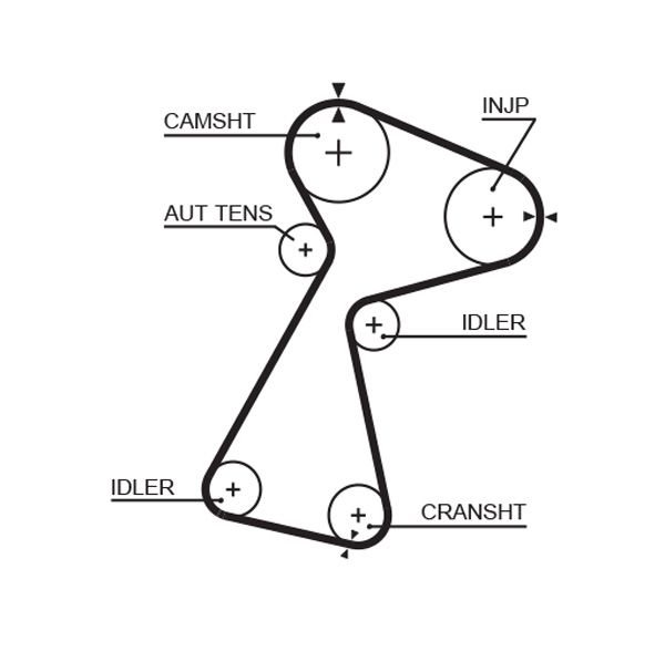 GATES 5561XS Timing Belt