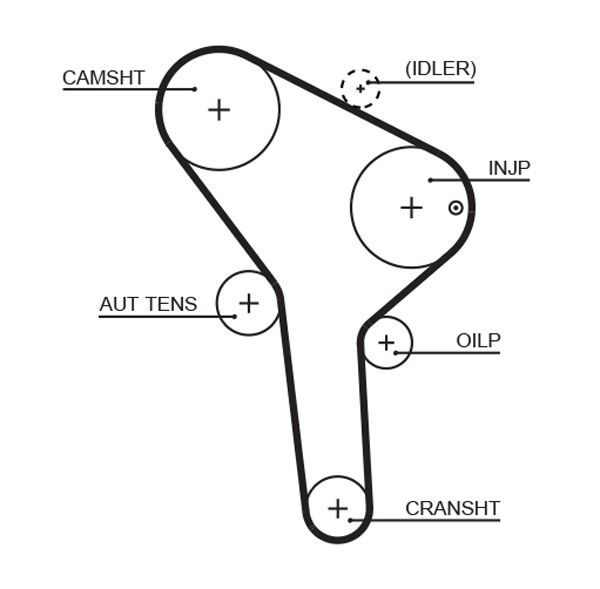 GATES 5564XS Timing Belt