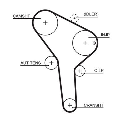 Timing Belt GATES 5564XS