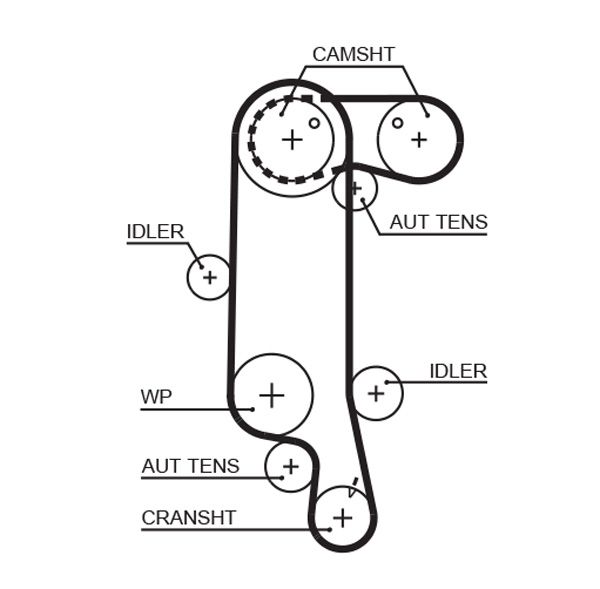 GATES 5565XS Timing Belt