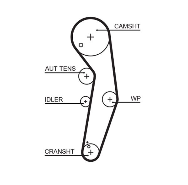 GATES 5569XS Timing Belt