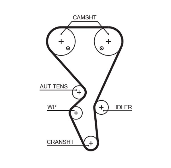 GATES 5581XS Timing Belt