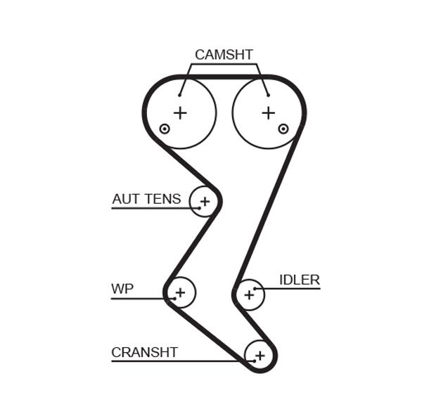 GATES 5582XS Timing Belt