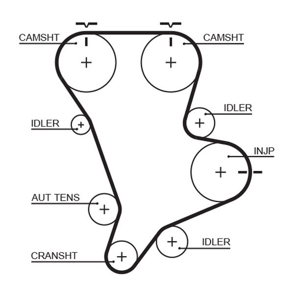GATES 5583XS Timing Belt