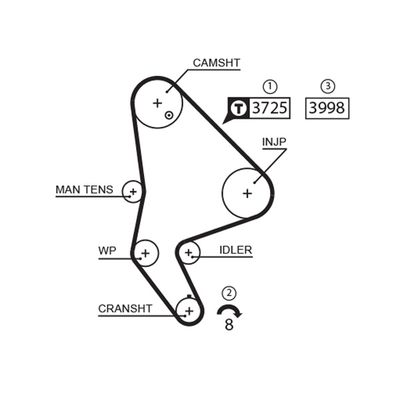 Timing Belt GATES 5588XS