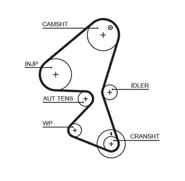 GATES 5589XS Timing Belt