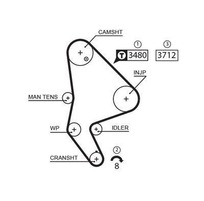 Timing Belt GATES 5590XS