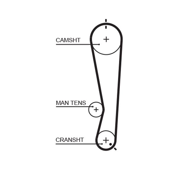 GATES 5591XS Timing Belt