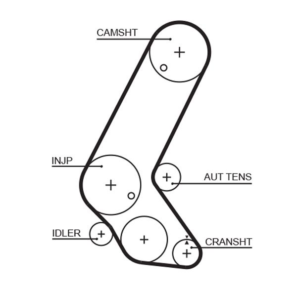 GATES 5595XS Timing Belt