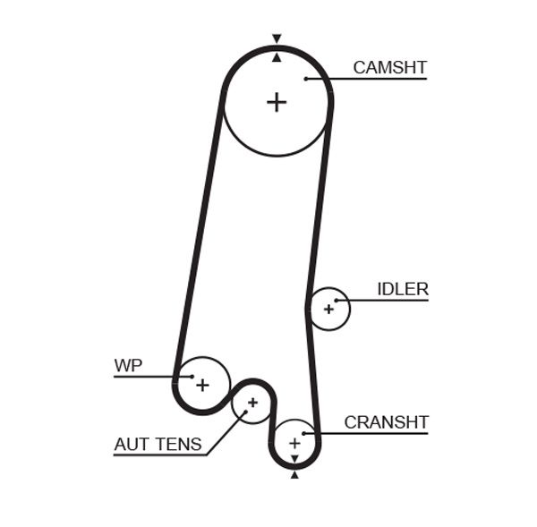 GATES 5597XS Timing Belt