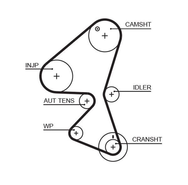GATES 5598XS Timing Belt