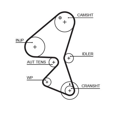 Timing Belt GATES 5598XS