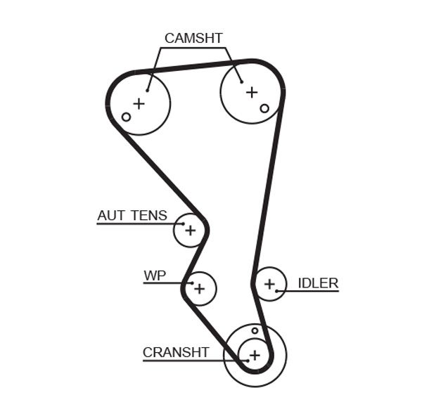 GATES 5599XS Timing Belt