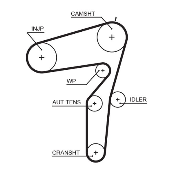 GATES 5600XS Timing Belt