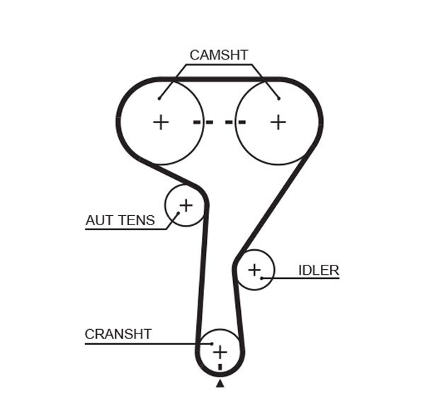 GATES 5603XS Timing Belt