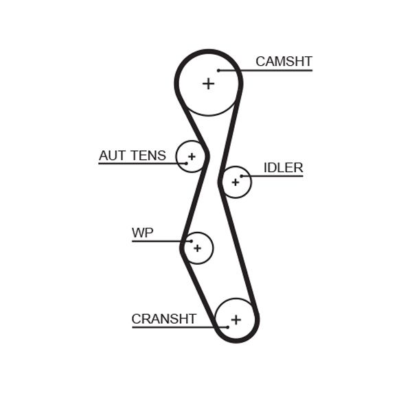 GATES 5606XS Timing Belt