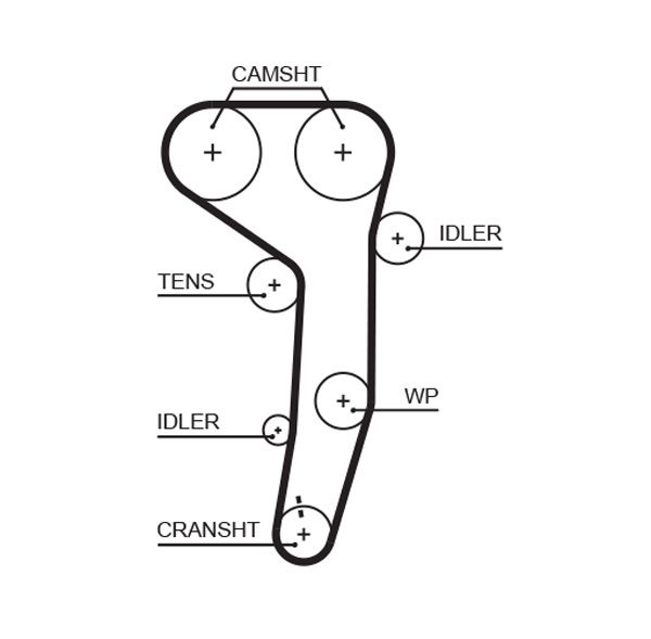 GATES 5607XS Timing Belt