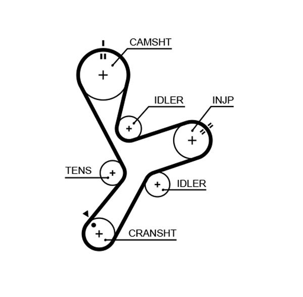 GATES 5641XS Timing Belt
