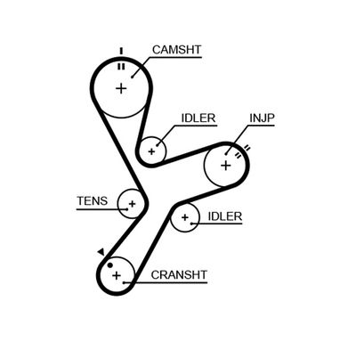 Timing Belt GATES 5641XS
