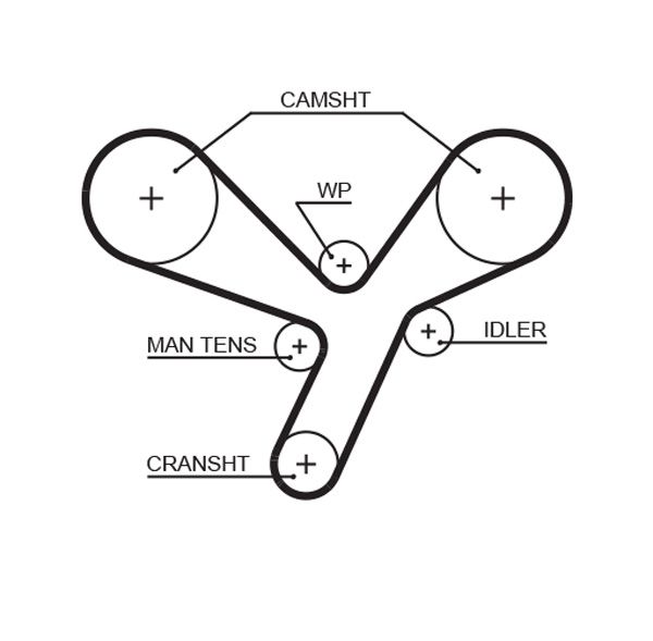 GATES 5643XS Timing Belt
