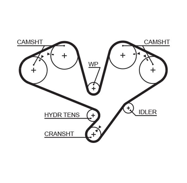GATES 5659XS Timing Belt