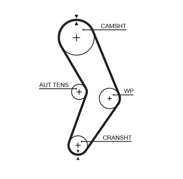 GATES 5662XS Timing Belt