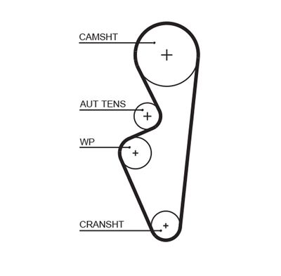Timing Belt GATES 5670XS
