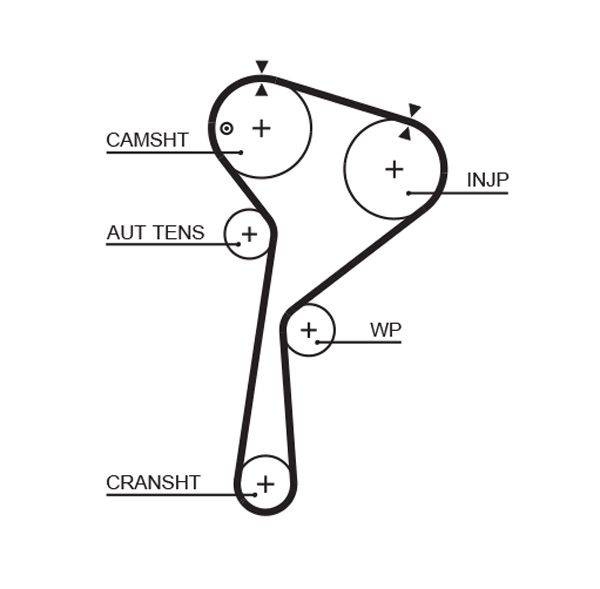 GATES 5675XS Timing Belt
