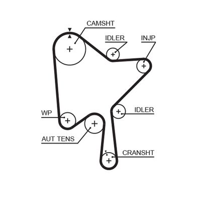 Timing Belt GATES 5686XS