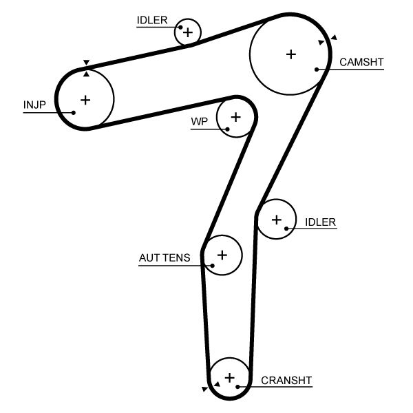 GATES 5719XS Timing Belt