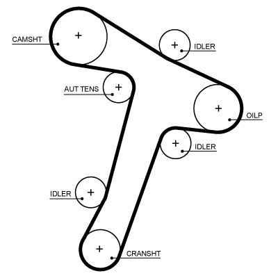 Timing Belt GATES 5725XS