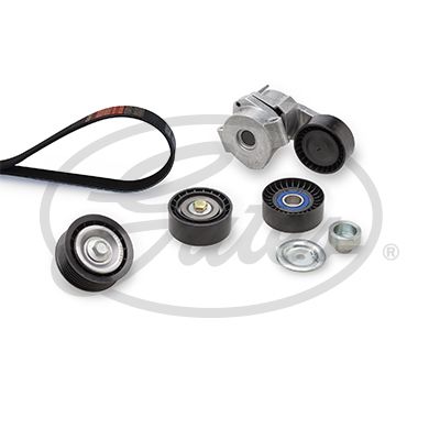 GATES K096PK1685 V-Ribbed Belt Set