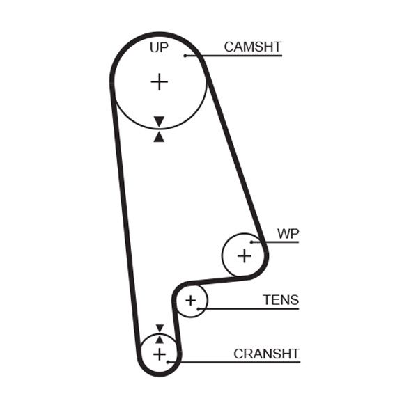 GATES T145RB Timing Belt