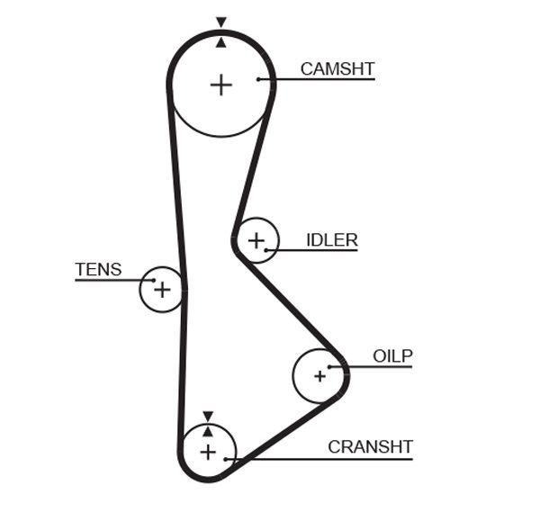 GATES T233 Timing Belt