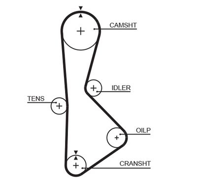 Timing Belt GATES T233