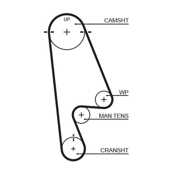 GATES T244RB Timing Belt