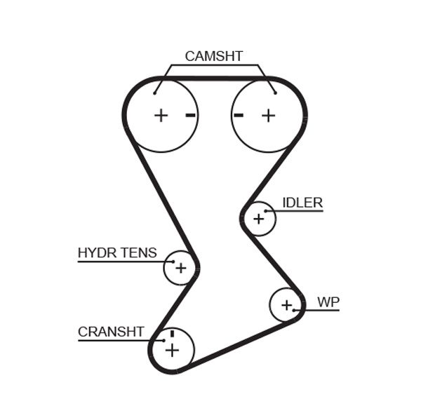 GATES T246 Timing Belt