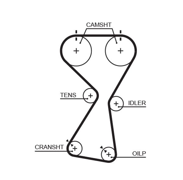 GATES T256RB Timing Belt