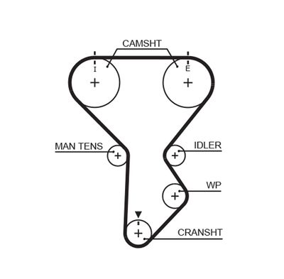 Timing Belt GATES T281RB