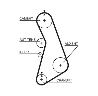 Timing Belt GATES T291RB